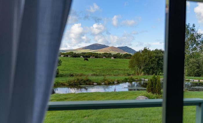 View from Angharad - Brook Cottage Shepherd Huts